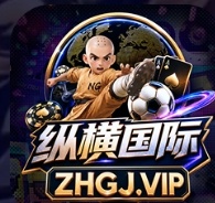 纵横国际